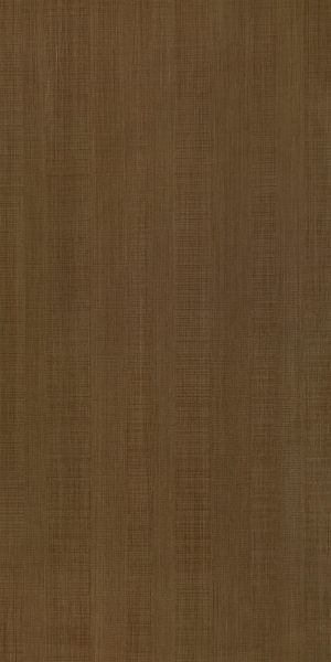 ModernWood Texture