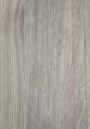 ModernWood Texture