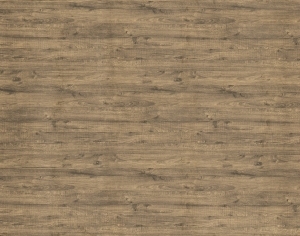 ModernWood Texture