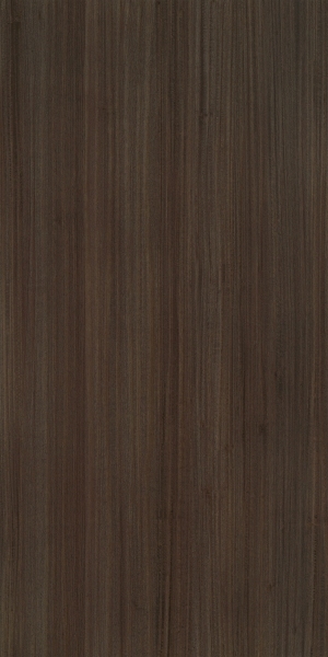ModernWood Texture