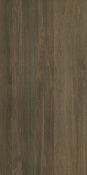 ModernWood Texture