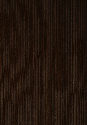 ModernWood Texture