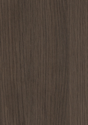 ModernWood Texture