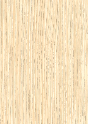 ModernWood Texture