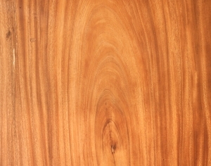 ModernWood Texture