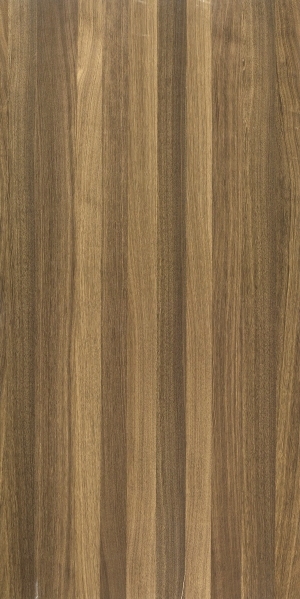 ModernWood Texture