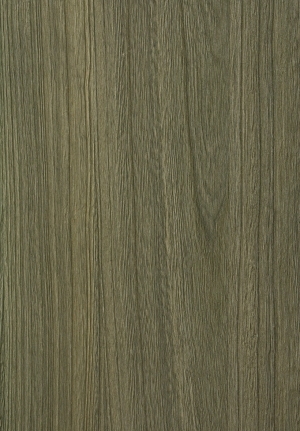 ModernWood Texture