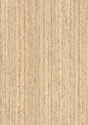 ModernWood Texture