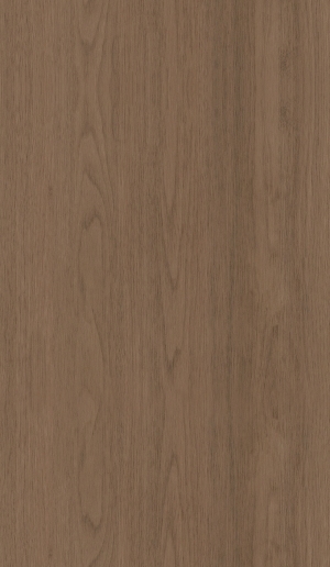 ModernWood Texture
