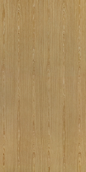 ModernWood Texture
