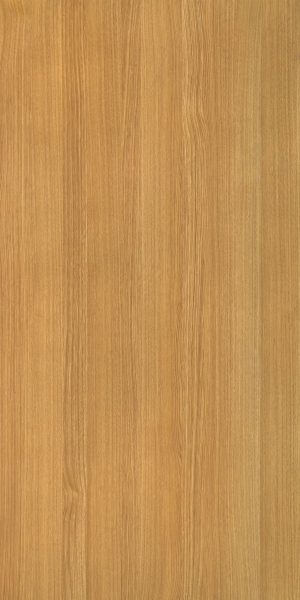 ModernWood Texture