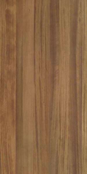 ModernWood Texture