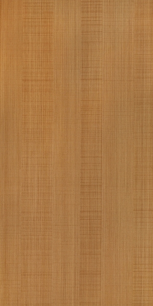 ModernWood Texture