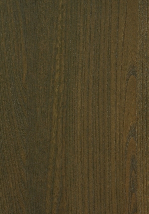 ModernWood Texture