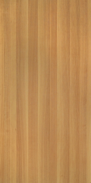 ModernWood Texture