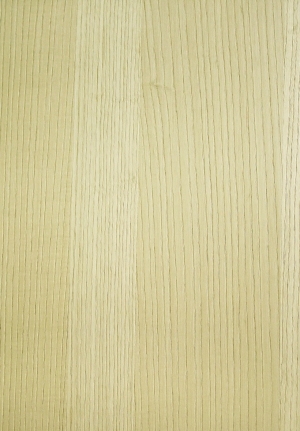 ModernWood Texture