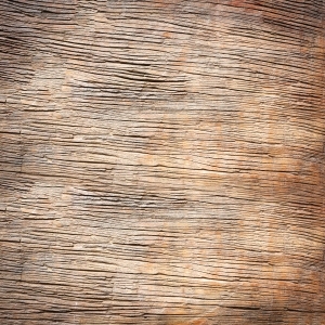 ModernWood Texture