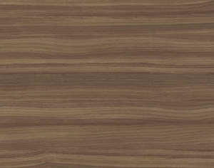 ModernWood Texture