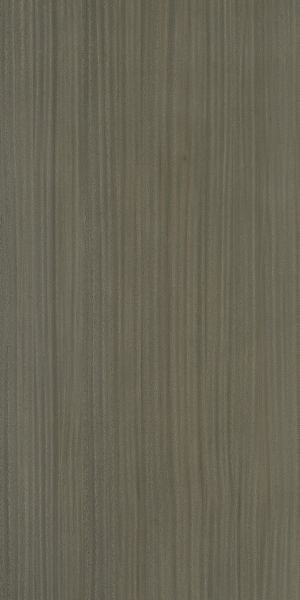 ModernWood Texture