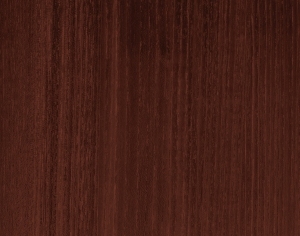ModernWood Texture