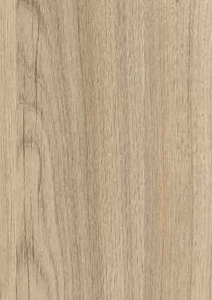 ModernWood Texture