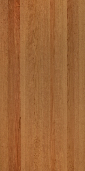 ModernWood Texture