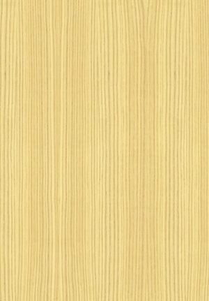 ModernWood Texture