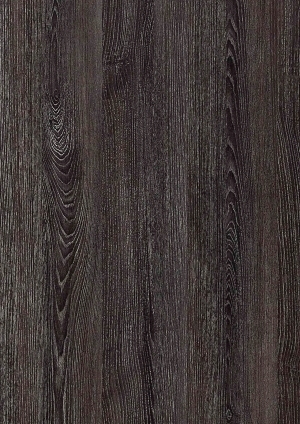 ModernWood Texture