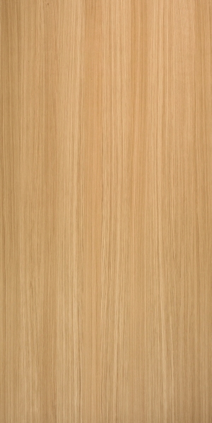 ModernWood Texture
