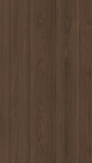 ModernWood Texture