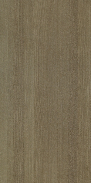 ModernWood Texture