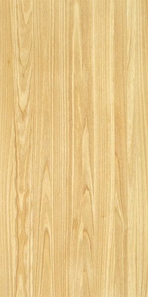 ModernWood Texture