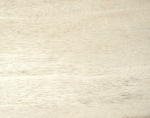 ModernWood Texture