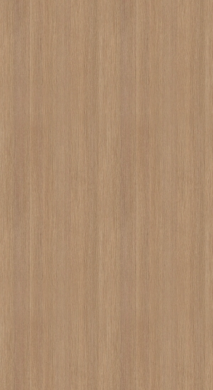 ModernWood Texture