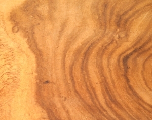 ModernWood Texture