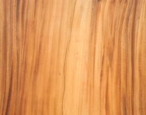 ModernWood Texture