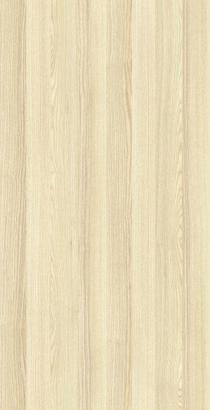 ModernWood Texture