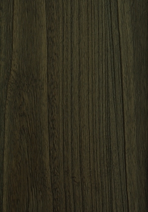 ModernWood Texture