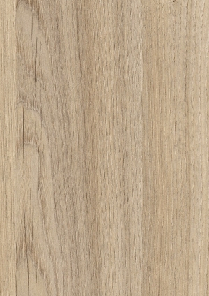 ModernWood Texture