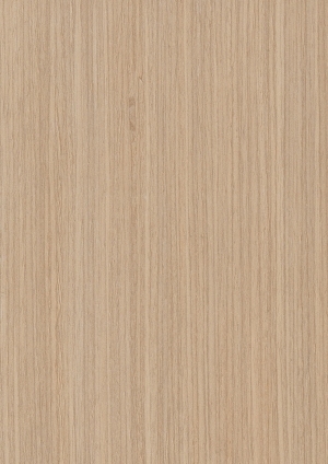 ModernWood Texture