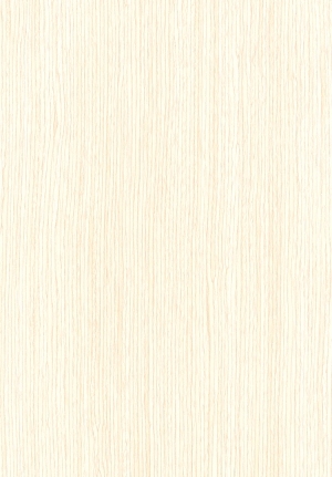 ModernWood Texture