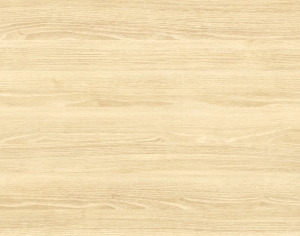ModernWood Texture