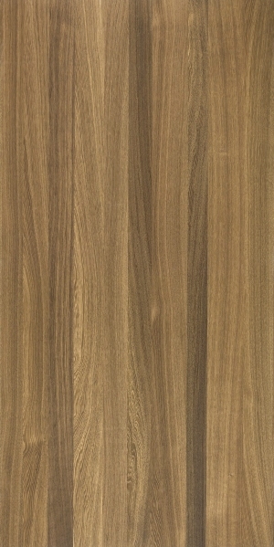 ModernWood Texture