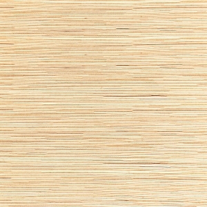 ModernWood Texture