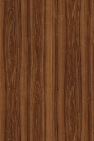 ModernWood Texture