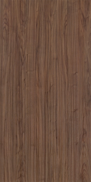 ModernWood Texture