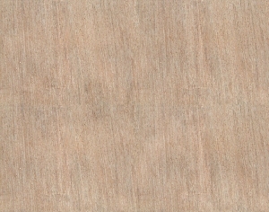 ModernWood Texture