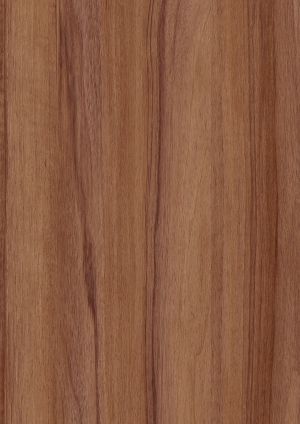 ModernWood Texture