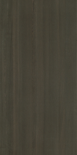 ModernWood Texture