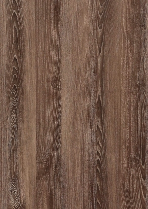 ModernWood Texture